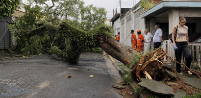 Queda de árvore na rua Campos Novos, Vila Zelina (Ale Vianna/Folha VP) arvore2