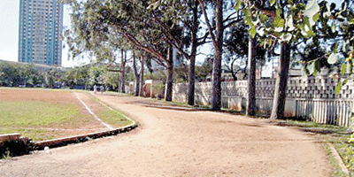 campo