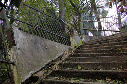 cdc1
