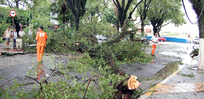 Equipe da Prefeitura remove galho que despencou sobre carro (Gerson Rodrigues/Folha VP) chuva13