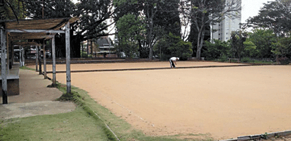 gateball