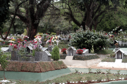 jardim1