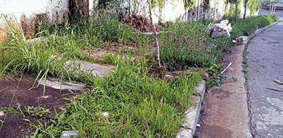 mato-calçada