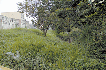 parque-linear-1