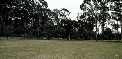 parque