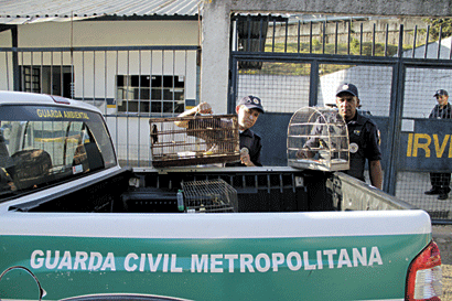policia-ambiental-2
