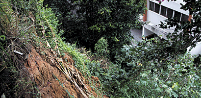terreno-eletropaulo-2